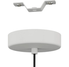 Plafondbevestiging voor hanglamp