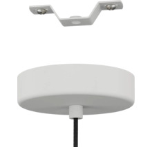 Plafondbeugel en lampenkap voor een hanglamp