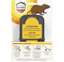 Home Defense Radical rattenval
