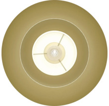 Aanzicht van een hanglamp met drie lamparmen