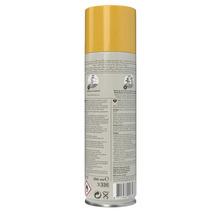 Pokon bladspray voor kamerplanten in spuitbus