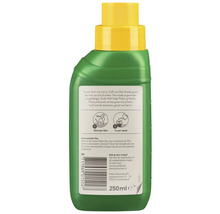 Pokon kamerplanten voeding in een fles van 250 ml