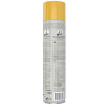 Pokon Bladspray voor glanzende bladeren, 600 ml spuitbus