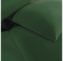 Detailopname van een groen kussen met een zacht fluwelen oppervlak.