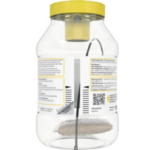 Transparante vliegenval om op te hangen met gele deksel en geïntegreerd lokaaszakje.