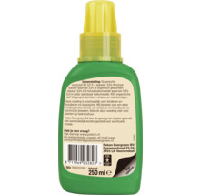 Achterzijde van een groene plastic fles Pokon vloeibare meststof, 250 milliliter, met samenstelling en gebruiksinstructies op het etiket.