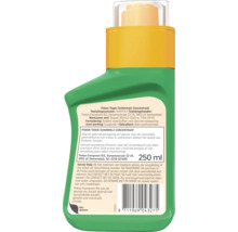 Pokon Tegen Schimmels Concentraat, 250 milliliter, groene fles met gele dop, achterzijde met productinformatie.