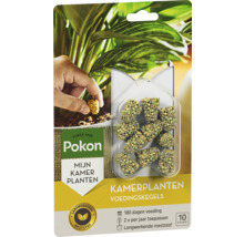 Pokon Kamerplanten Voedingskegels, 10 stuks, langwerkende meststof voor 180 dagen voeding, twee keer per jaar toepassen.