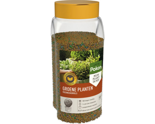 Pokon Groene Planten Voedingskorrels, 800 gram. Langwerkende meststof voor 180 dagen voeding, eenmaal per jaar toepassen.