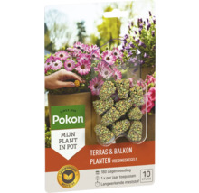 Pokon Voedingskegels voor terras- en balkonplanten, langwerkende meststof voor 180 dagen, 10 stuks.