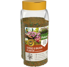 Pokon Terras en Balkon Planten Voedingskorrels, 800 gram, langwerkende meststof voor 180 dagen voeding, eenmaal per jaar toepassen.