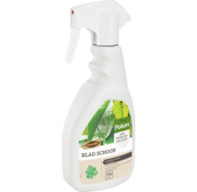 Pokon Blad Schoon bladreiniger spray in een 750 milliliter spuitflacon voor het reinigen van bladeren en het verwijderen van honingdauw.