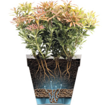 Doorsnede van een plantenpot met bewateringssysteem, hydrokorrels, grond, wortels en een plant.