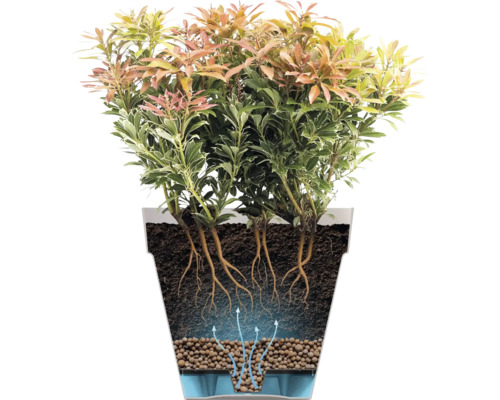 Doorsnede van een plantenpot met bewateringssysteem, hydrokorrels, grond, wortels en een plant.
