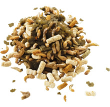 Mengsel van vijvervissenvoer met gedroogde insecten, pellets en vlokken.