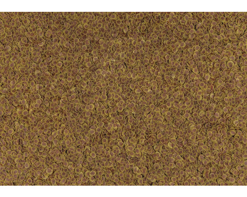 Visvoer in de vorm van ronde chips voor aquariumvissen.