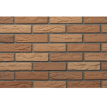 Steenstrips met baksteenlook en gestructureerd, rotsachtig oppervlak in bruintinten, gelegd met grijze voegen.