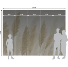 Fotobehang met pampasgras-motief, breedte 375 centimeter, hoogte 270 centimeter, verdeeld in vijf banen van elk 75 centimeter.