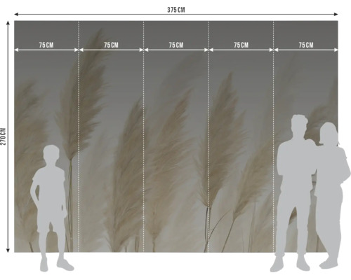 Fotobehang met pampasgras-motief, breedte 375 centimeter, hoogte 270 centimeter, verdeeld in vijf banen van elk 75 centimeter.