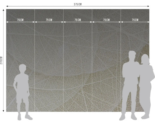 Fotobehang met bladnerfpatroon, 375 bij 270 centimeter, bestaande uit vijf banen van 75 centimeter breed.