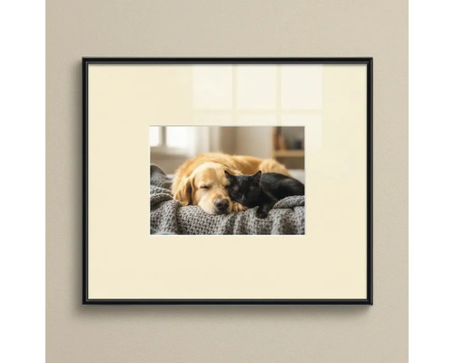 Fotolijst in zwart met passe-partout en afbeelding van een slapende hond en kat op een deken.