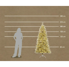 Lengtevergelijking van een kunstkerstboom van 180 centimeter hoog naast het silhouet van een persoon en maatlijnen.