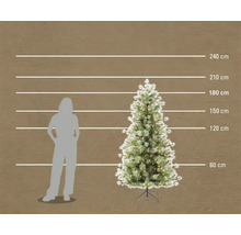 Kunstkerstboom met verlichting en sneeuweffect, hoogte 210 centimeter in schaalvergelijking met een persoon.