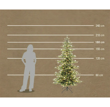 Kunstkerstboom met LED-verlichting in een vergelijking van de grootte met een persoon en hoogte-indicaties tot 240 centimeter.