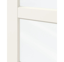 Detailopname van een witte binnendeur met glasinzet en horizontale roede.