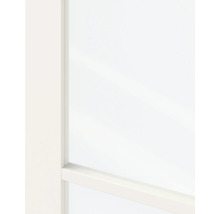 Detailweergave van een witte binnendeur met glasinzet en profielframe.
