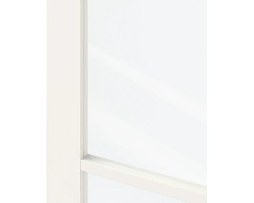 Detailweergave van een witte binnendeur met glasinzet en profielframe.