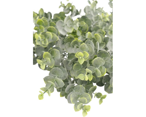 Kunstmatige eucalyptusplant met kleine ronde bladeren.