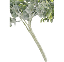 Kunstmatige eucalyptus tak met ronde bladeren en een gestructureerde steel