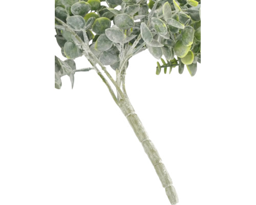 Kunstmatige eucalyptus tak met ronde bladeren en een gestructureerde steel