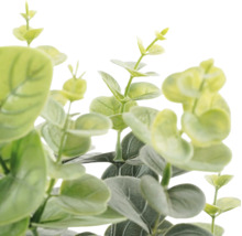 Close-up van een kunstmatige eucalyptustak met ronde bladeren voor decoratie.