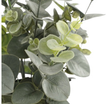 Kunstmatige eucalyptusplant met ronde, groene bladeren.