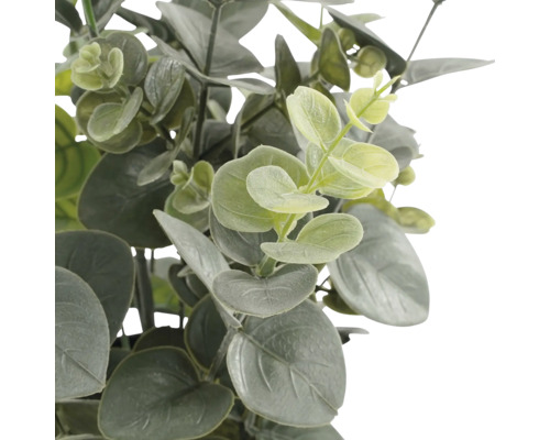 Kunstmatige eucalyptusplant met ronde, groene bladeren.