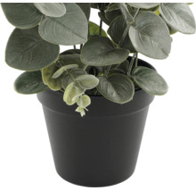 Kunstmatige eucalyptusplant in zwarte pot.