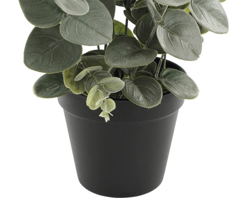Kunstmatige eucalyptusplant in zwarte pot.