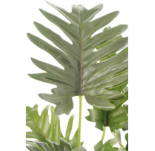Detailweergave van een kunstmatig groen Philodendron-blad met diep ingesneden randen voor decoratie.