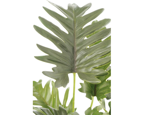 Detailweergave van een kunstmatig groen Philodendron-blad met diep ingesneden randen voor decoratie.
