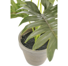 Kunstmatige Philodendron plant in stenen pot