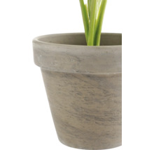 Detailweergave van een bloempot met steenlook en zichtbare plantenstelen.