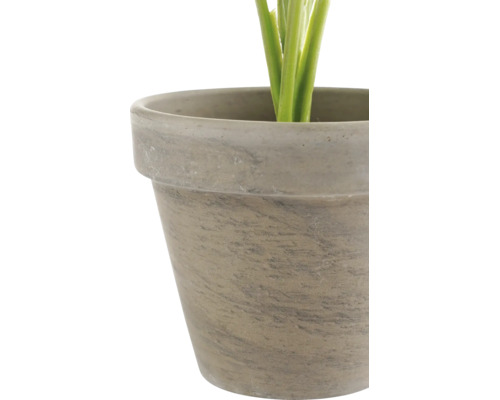 Detailweergave van een bloempot met steenlook en zichtbare plantenstelen.