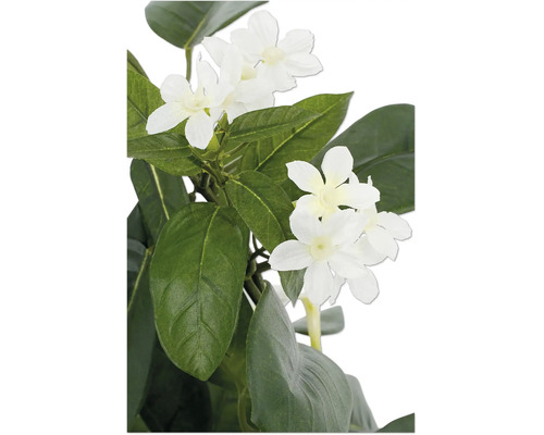 Kunstplant met witte bloemen en groene bladeren