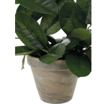 Kunstmatige groene plant in een rustieke pot met steenlook.
