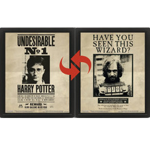 Harry Potter 3D-lenticulaire poster in zwarte lijst met wisselende afbeeldingen van Harry Potter en Sirius Black.