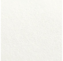 Detailopname van een wit behang met een fijne, gestructureerde textuur.