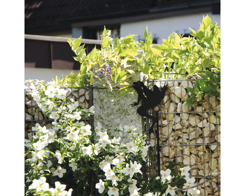 Decoratieve tuinsteker kikker als zwart silhouet bij een schanskorfmuur in de tuin naast witte bloemen.