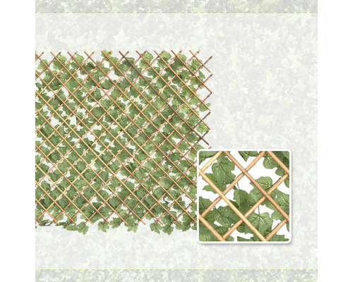 Kunstklimop op een uittrekbaar houten klimrek inclusief detailweergave van de bladeren.